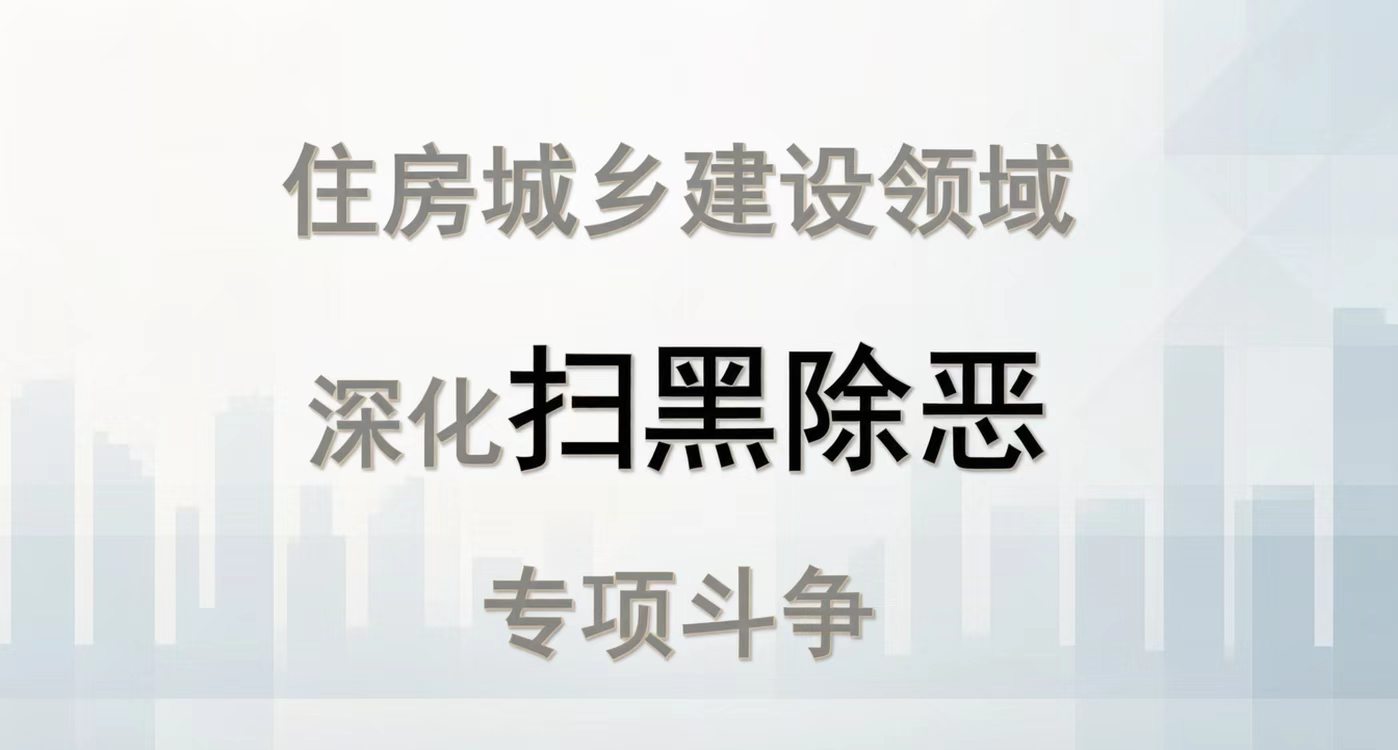 扫黑除恶专项斗争